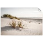Poster autocollant plage mer dunes nature plantes 100x70