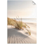 Poster autocollant plage mer dunes nature plantes 80x120