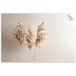 Poster autocollant plantes d'herbe de la pampa nature beige 45x30