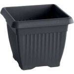Pot de fleur carr terra 15x15x13 cm en plastique anthracite - prosperplast