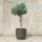 Pot de fleurs jeannot - �38 cm