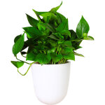 Pot de fleurs mural d'angle pot de fleurs � arrosage automatique pot de fleurs en plastique