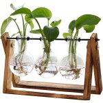Pot de fleurs avec support en bois, culture hydroponique, vase sphrique en verre, support rotatif en ...