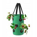 Pot de fleurs suspendu sac poulet tomates fraises fraises des bois poches 35