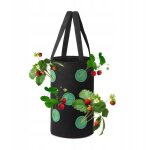 Pot de fleurs suspendu sac poulet tomates fraises fraises des bois poches 35