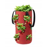 Pot de fleurs suspendu sac tomates l�gumes fraises fraises poches 35cm