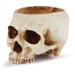 Pot de fleurs tte de mort en rsine vase tte de mort modle de tte en rsine pour halloween fte, ...