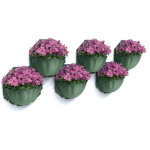 Pot mural modulaire set de 6 pi�ces pour compositions personnalis�es, mur v�g�tal - vert mousse - livraison ...