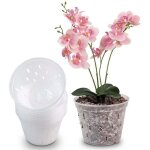 Pots d'orchid�es en plastique transparents de 5 pouces, 10 pi�ces, pots de plantation d'orchid�es, contr�le ...