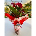 Vivaio garden forest - pot à plantes anthurium rouge 17cm Vivaio garden forest - pot à plantes anthurium rouge 17cm