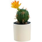 Pots en plastique, cactus tropicaux artificiels, bonsaïs, petits ornements créatifs, fleurs artificielles ... Pots en plastique, cactus tropicaux artificiels, bonsaïs, petits ornements créatifs, fleurs artificielles ...