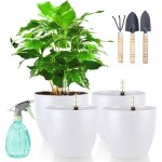 Pots � r�serve d'eau, pots de fleurs avec syst�me d'arrosage automatique, pots avec indicateur d'humidit�, ...