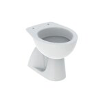 Pot au sol 39x53 blanc brillant geberit colibr� - con copri wc standard