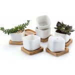 Pot de succulent en c�ramique hexagone avec plateau en bambou blanc lot de 6, cactus plante planteur ...