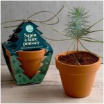 Pot en terre cuite - no�l - epic�a - 8 cm