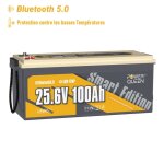 Jamais utilis�]batterie lithium 24v100ah 2560wh bluetooth lifepo4 power queen bms 100a, protection � ...
