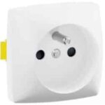 Prise 2p + t asl � bornes automatiques - en saillie - composable - 086127l - legrand
