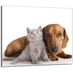 Protection de plaque de cuisson en verre 60x52 animaux
