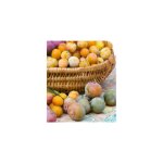 Prunier mirabelle de metz - le scion - arbre fruitier