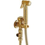 Pulvrisateur de bidet de toilette, pulvrisateur de bidet dor, kit de mlangeur de douche  main mural ...