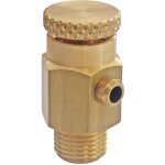 Somatherm for you - purgeur d'air m5x10 (1 / 8') � pointeau et volant molette