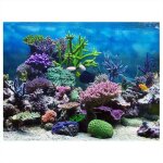 Pvc adh�sif sous - marin coral aquarium fish tank fond affiche toile de fond d�coration papier (6130 ...