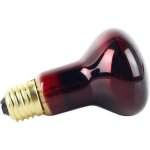 R63 infrarouge ampoule 40 w spot lampe chauffante ponton R63 infrarouge ampoule 40 w spot lampe chauffante ponton