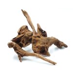 Racines de bois flott� tropical biorain roots s 12 - 20 cm