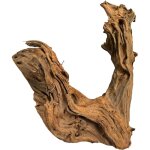 Racine de mangrove 20 - 35 cm