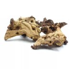 Racine de mopani bioroot pour terrarium et aquarium s 10 - 20 cm