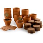 Radis et capucine - kit pour une activit� de fin d'ann�e : 24 sapins de no�l