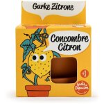 Kit pot terre cuite 8 cm - concombre citron