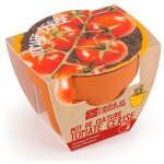 Mini kit de culture - tomate cerise bio - 6cm