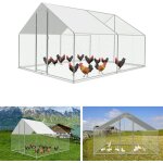 Randaco enclos poulailler enclos ext�rieur acier galvanis� avec grillag� und auvent cage pour animaux ...