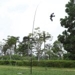 Rapanda - cerf - volant de simulation pour repousser les oiseaux, pigeons pour repousser les oiseaux, ...