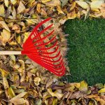 Rteau  feuilles de jardin en plastique, rteau en plastique, rteau  gazon paissi, rteau en caoutchouc ...