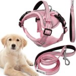 Rea - laisse et harnais pour chien pj - 060 pink l