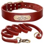 (red set / xs)collier en cuir personnalisable pour chien, ensemble avec laisse pour animal de compagnie ...