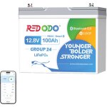 Redodo - batterie au lithium 12v100ah groupe 24 rechargeable lifepo4, bluetooth et protection d'arrt ...