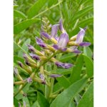 R�glisse pot de 2l / 3l