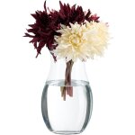 Grand vase dcoratif, pour vos fleurs, en verre, dimensions h x d : 26 x 15 cm, transparent - relaxdays ...
