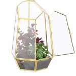 Terrarium pour vos plantes, d�coratif et pratique, pour le rebord de la fen�tre, 26 x 18 x 15 cm, dor� ...