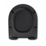 Les rois des si�ges de toilettes cuvette wc artceram file 2. 0 - noir brillant - duroplast - abattant ...