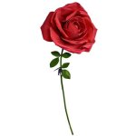 Rose �ternelle g�ante 160 cm cadeau pour une femme pour votre femme le jour de la saint - valentin