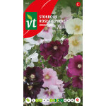 Rose tr�mi�re aubade - ca. 0, 2 gr (livraison gratuite)