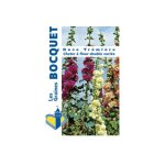 Rose tr�mi�re 'chaters's double' en m�lange le sachet de 100 graines (1g)