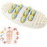 Rouleau de massage des pieds, outil de r�flexologie, appareil de massage des pieds pour masser la plante ...