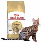 Royal canin bengal adulte 2 kg