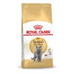 Royal canin - british shorthair chat adulte nourriture sche 4 kg