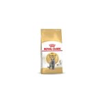Royal canin - british shorthair chat adulte nourriture sche 4 kg